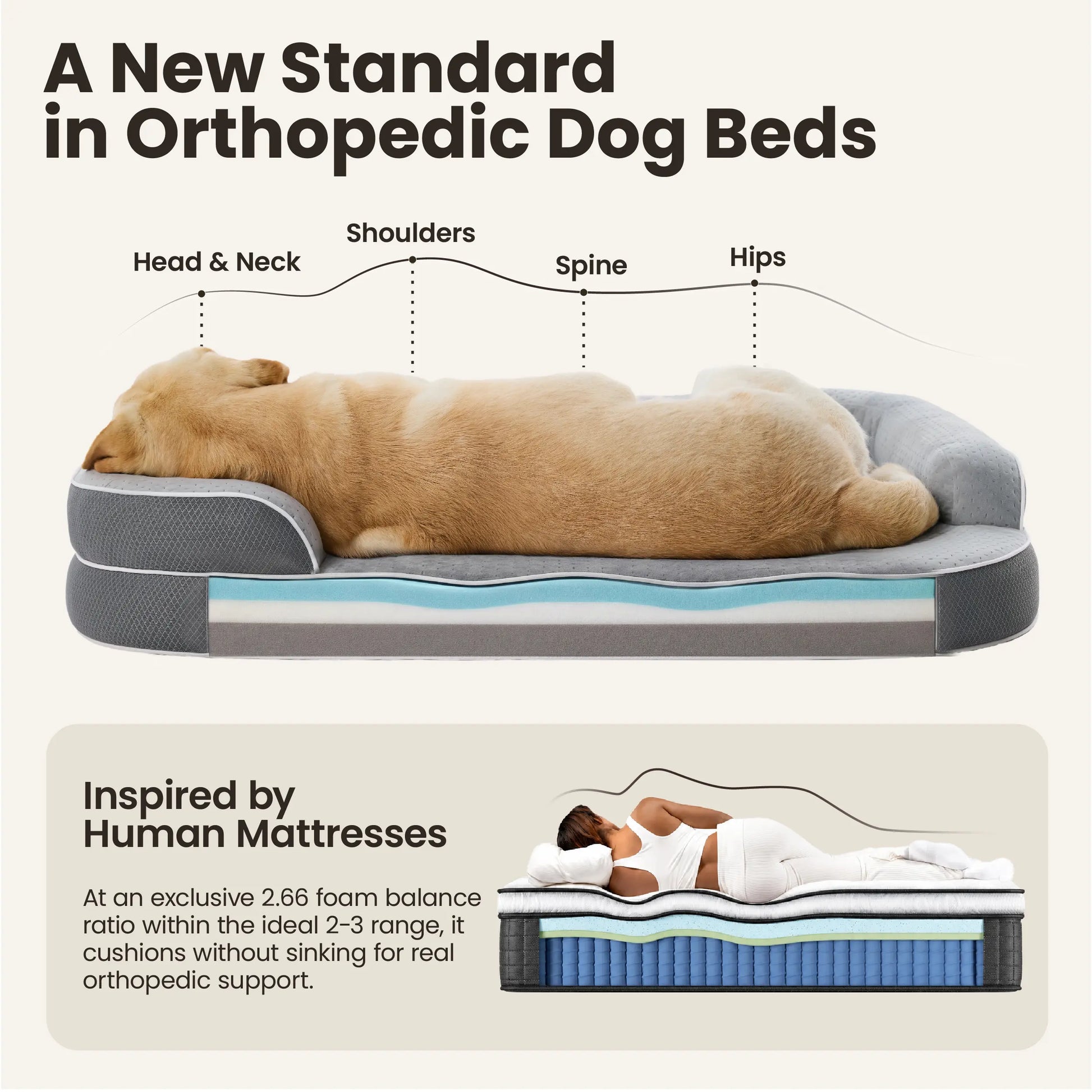 Lesure Realortho Orthopedic Dog Bed with Memory Foam
