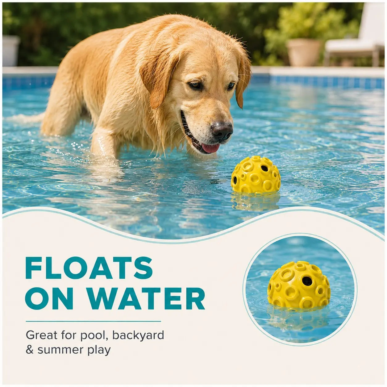 Interactive Rolling & Floating Dog Ball Toy