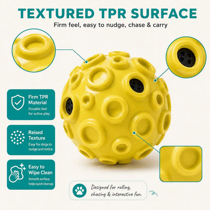 Interactive Rolling & Floating Dog Ball Toy