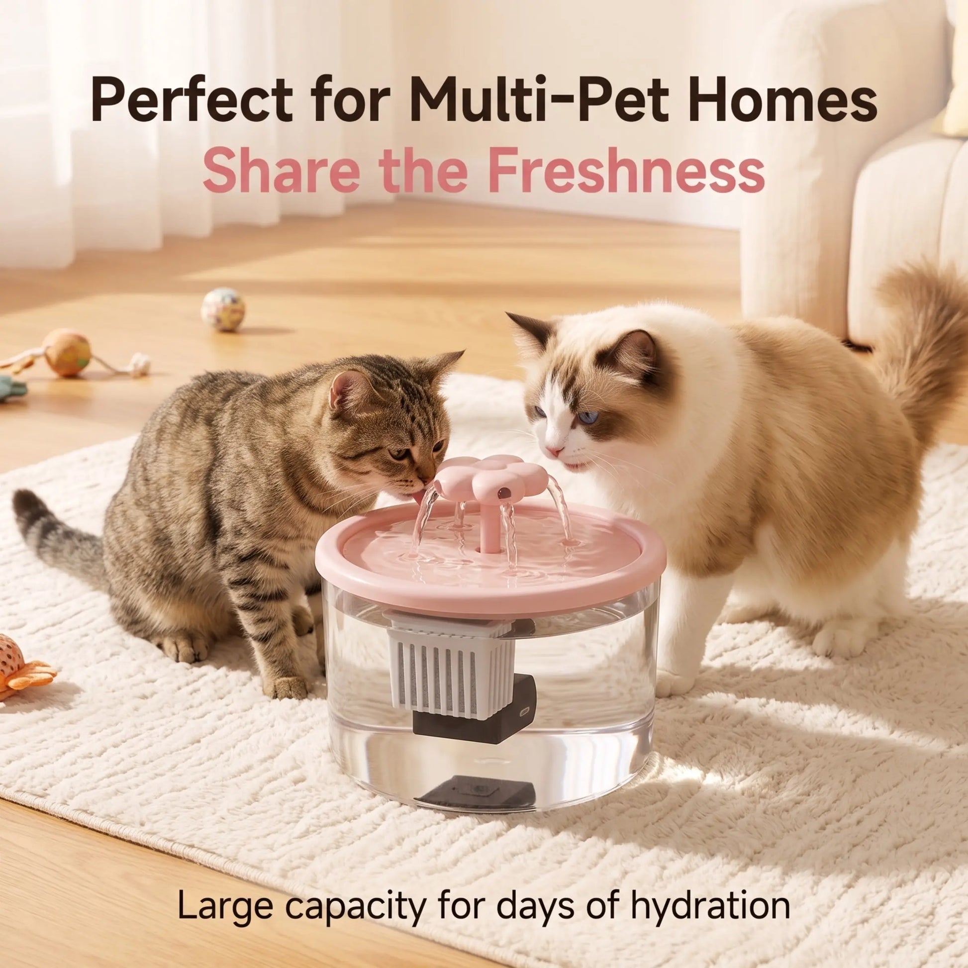 Cat Water Fountain with Filter, USB-Powered & Quiet