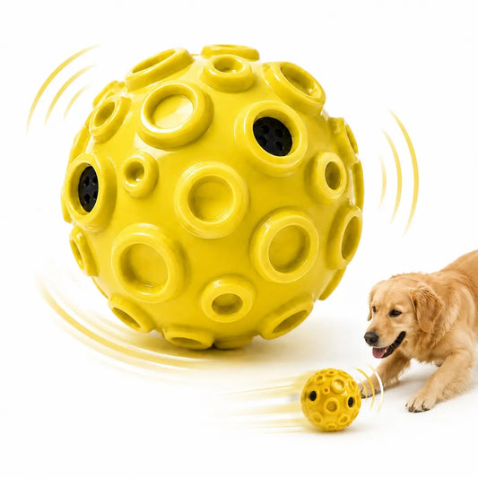 Interactive Rolling & Floating Dog Ball Toy