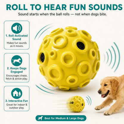 Interactive Rolling & Floating Dog Ball Toy