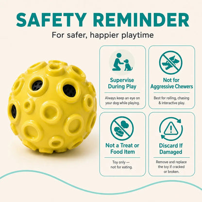 Interactive Rolling & Floating Dog Ball Toy