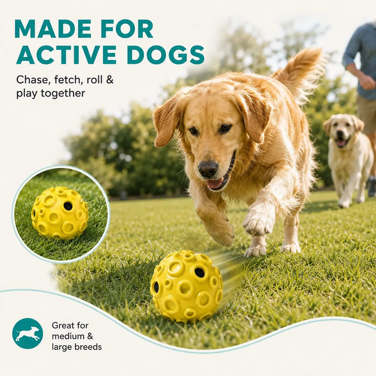 Interactive Rolling & Floating Dog Ball Toy