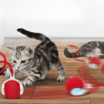 Kattenspeeltje